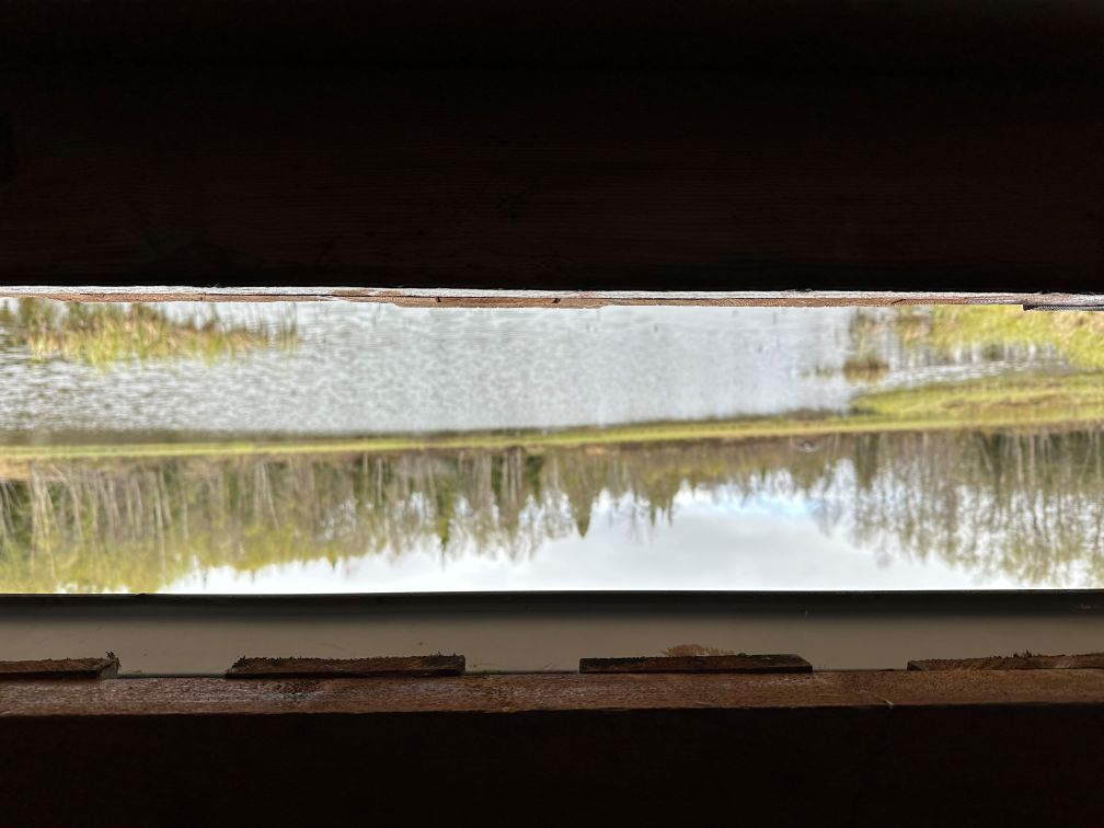 Norra Fågeltornet